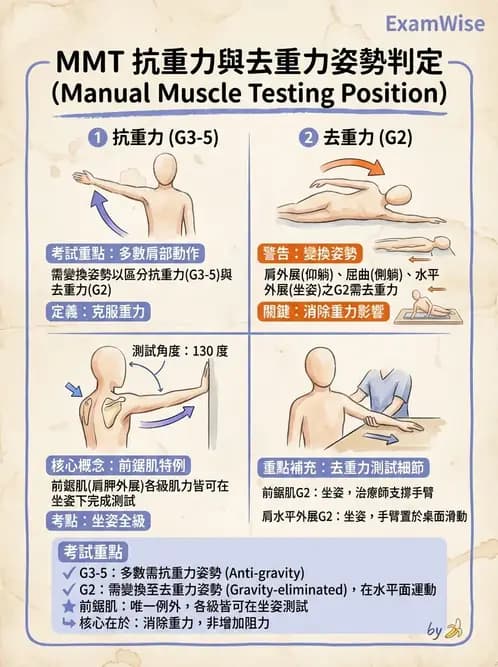 物治 - 上肢徒手肌力測試 - AI 圖文解析預覽