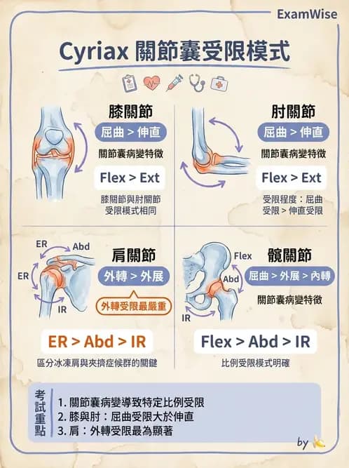 物治 - 鬆動術基礎概念與原則 - AI 圖文解析預覽