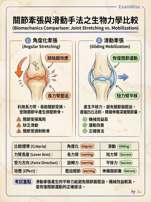 物治 - 鬆動術分級理論 - AI 圖文解析預覽