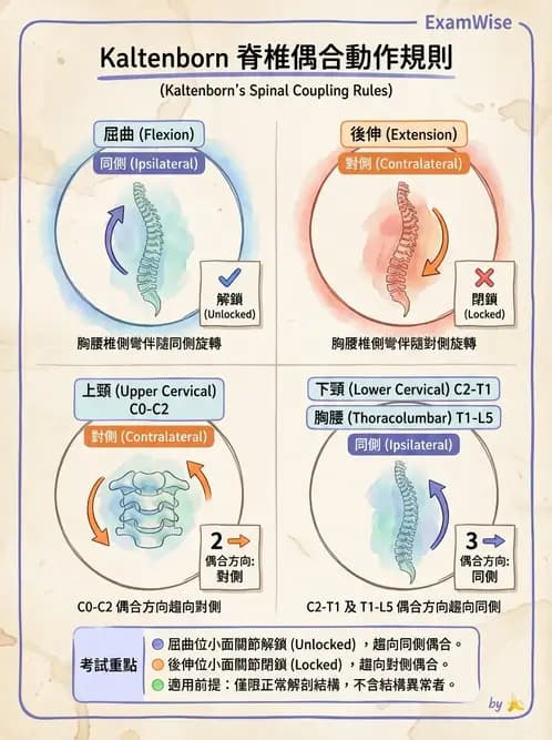 物治 - 鬆動術臨床應用 - AI 圖文解析預覽