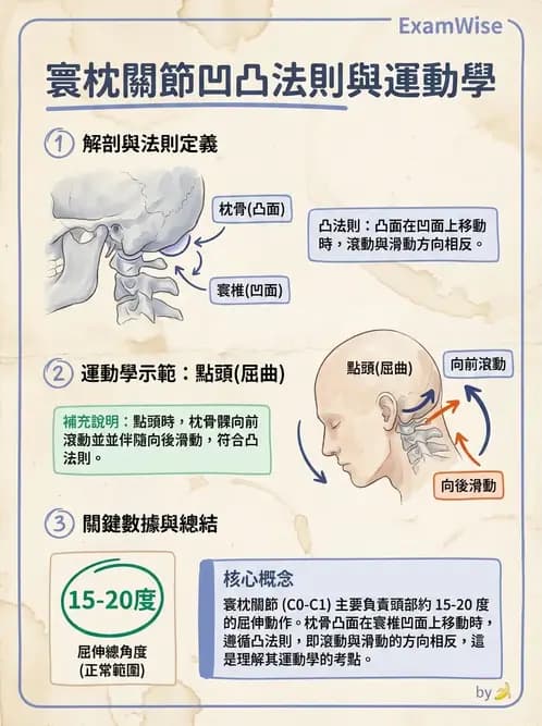 物治 - 鬆動術基礎概念與原則 - AI 圖文解析預覽