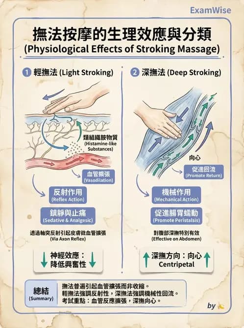物治 - 瑞典式按摩與運動按摩 - AI 圖文解析預覽