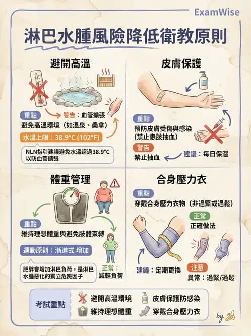 物治 - 淋巴水腫與徒手淋巴引流 - AI 圖文解析預覽