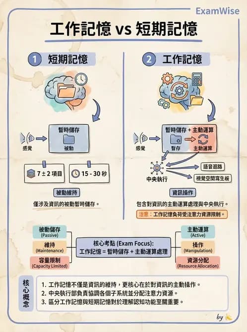 物治 - 動作學習 - AI 圖文解析預覽