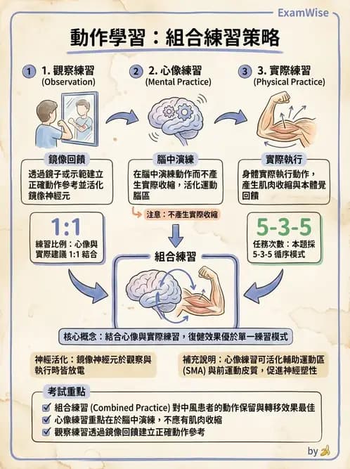 物治 - 動作學習 - AI 圖文解析預覽