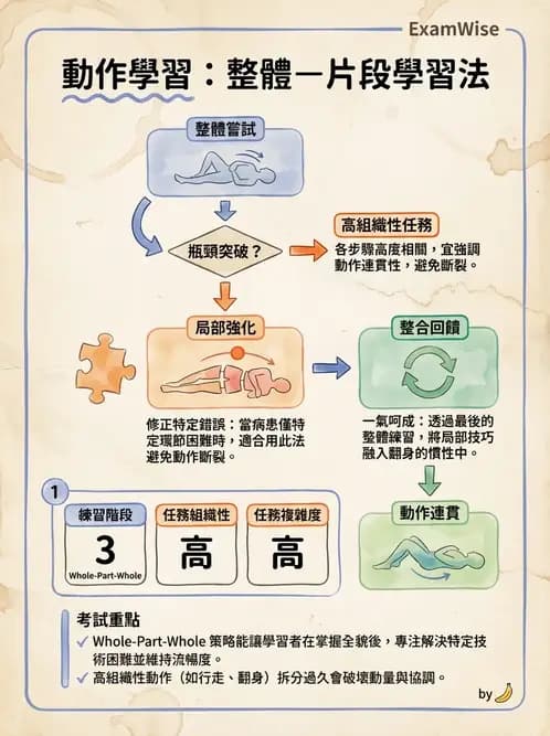 物治 - 動作學習 - AI 圖文解析預覽