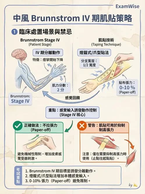 物治 - 腦中風治療手法應用 - AI 圖文解析預覽