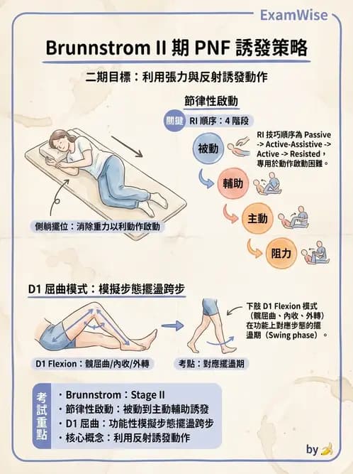 物治 - 腦中風治療手法應用 - AI 圖文解析預覽
