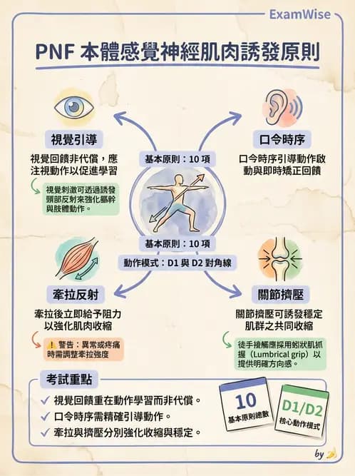 物治 - 神經治療學派技術 - AI 圖文解析預覽