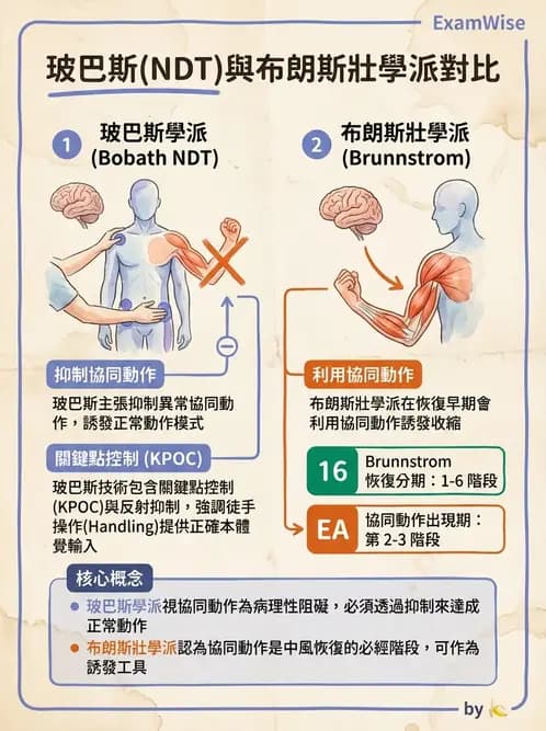 物治 - 神經治療學派技術 - AI 圖文解析預覽