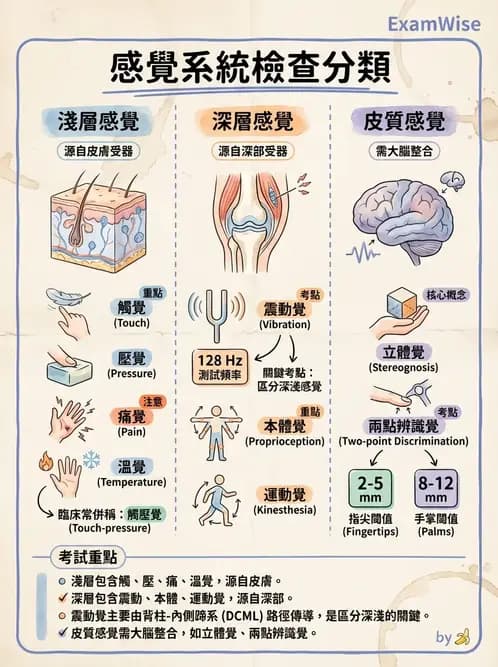 物治 - 神經物理治療評估工具 - AI 圖文解析預覽