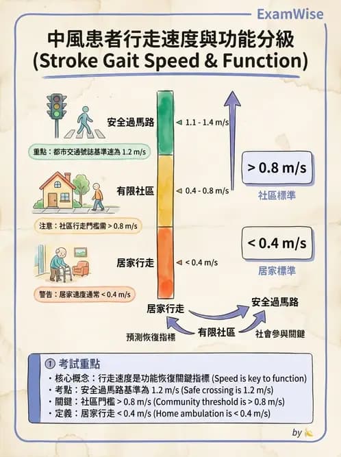 物治 - 腦中風步態分析與行走訓練 - AI 圖文解析預覽