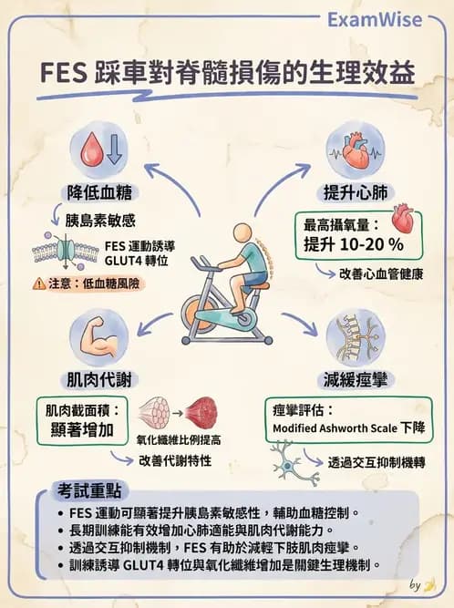 物治 - SCI功能預後與復健訓練 - AI 圖文解析預覽