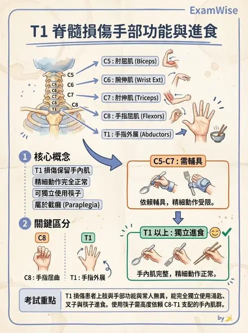物治 - SCI功能預後與復健訓練 - AI 圖文解析預覽