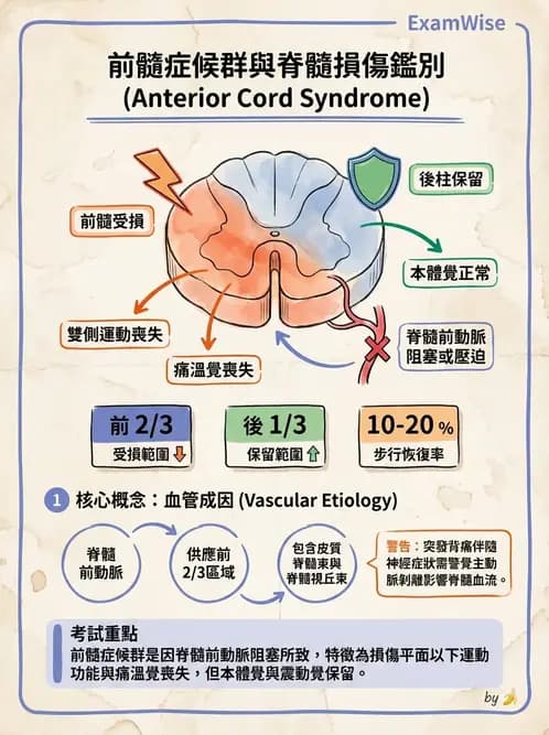 物治 - SCI評估分類與症候群 - AI 圖文解析預覽