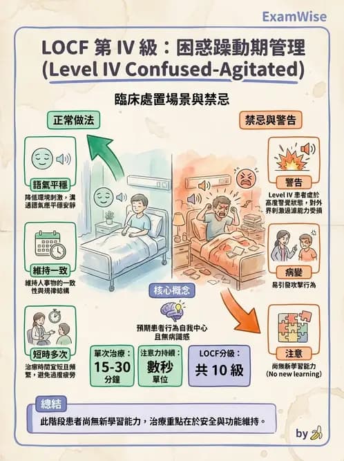 物治 - TBI LOCF分級與復健 - AI 圖文解析預覽
