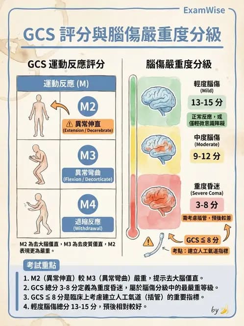 物治 - TBI病理評估與GCS - AI 圖文解析預覽