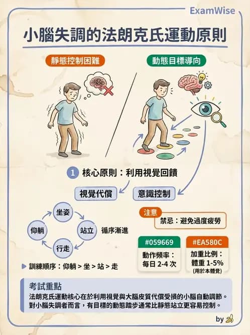 物治 - 小腦疾病物理治療 - AI 圖文解析預覽