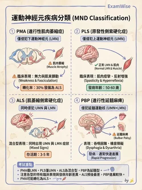 物治 - 運動神經元疾病與其他中樞疾病 - AI 圖文解析預覽