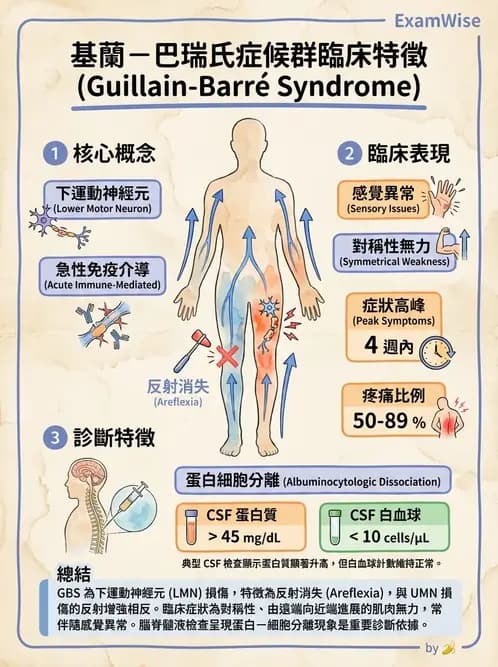 物治 - 神經肌肉疾病 - AI 圖文解析預覽