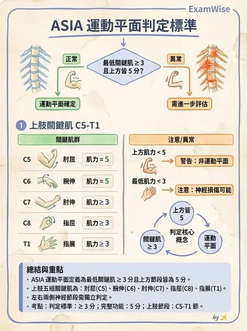 物治 - SCI評估分類與症候群 - AI 圖文解析預覽