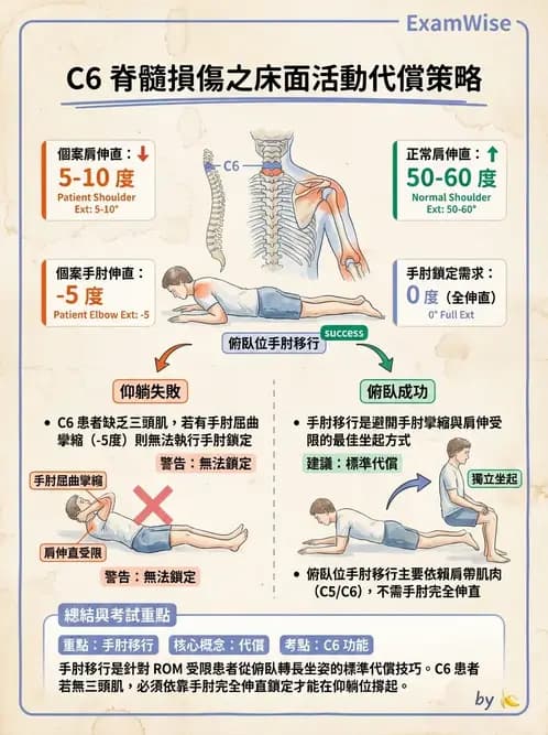物治 - SCI功能預後與復健訓練 - AI 圖文解析預覽