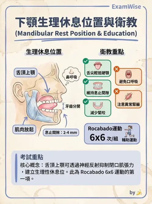 物治 - 顳頷關節 - AI 圖文解析預覽