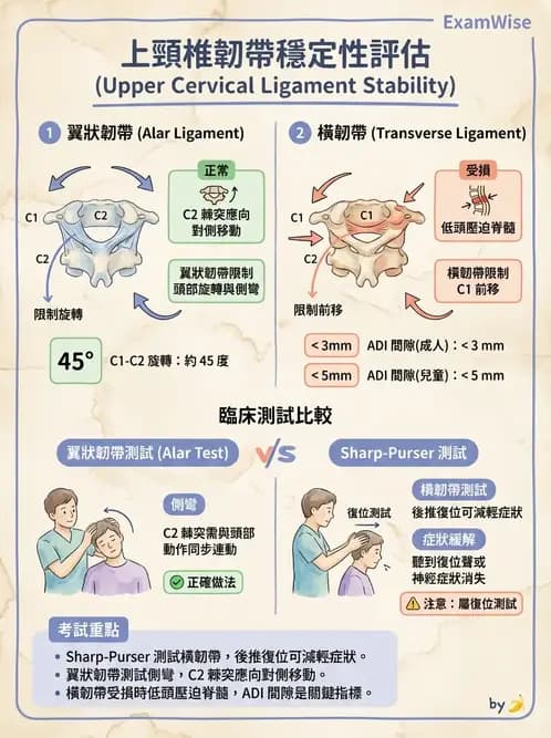 物治 - 頸椎評估與病理 - AI 圖文解析預覽