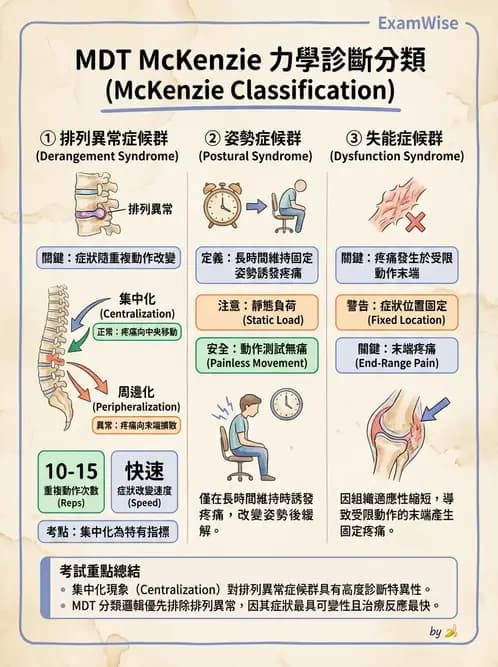 物治 - 腰椎穩定訓練與治療原則 - AI 圖文解析預覽