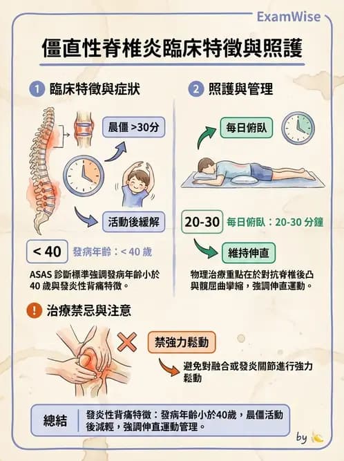 物治 - 腰椎穩定訓練與治療原則 - AI 圖文解析預覽