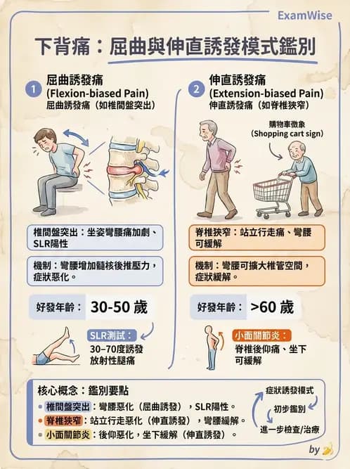 物治 - 腰椎椎間盤與脊椎狹窄 - AI 圖文解析預覽