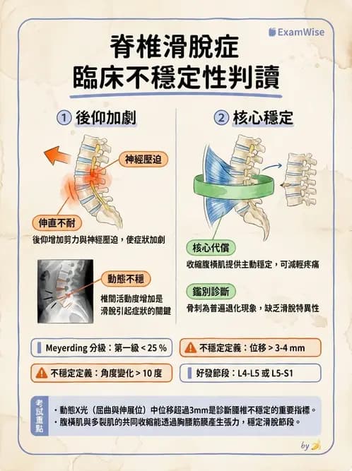 物治 - 腰椎椎間盤與脊椎狹窄 - AI 圖文解析預覽