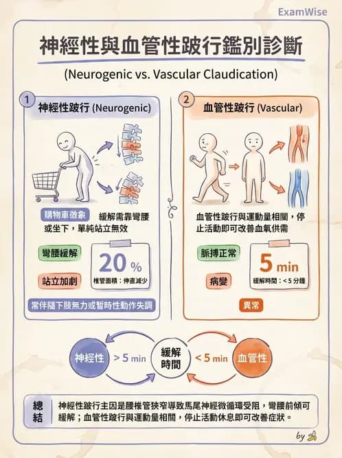 物治 - 腰椎椎間盤與脊椎狹窄 - AI 圖文解析預覽