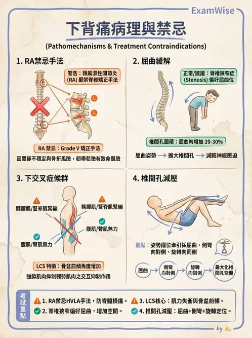 物治 - 腰椎穩定訓練與治療原則 - AI 圖文解析預覽
