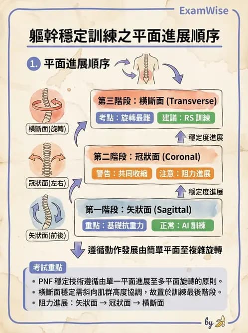 物治 - 腰椎穩定訓練與治療原則 - AI 圖文解析預覽