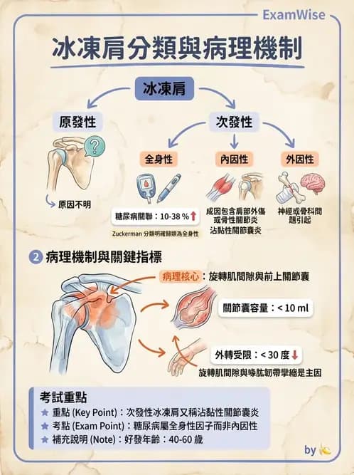 物治 - 冰凍肩與胸廓出口症候群 - AI 圖文解析預覽