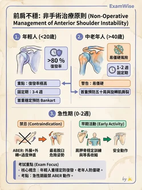 物治 - 肩關節不穩定與盂唇損傷 - AI 圖文解析預覽