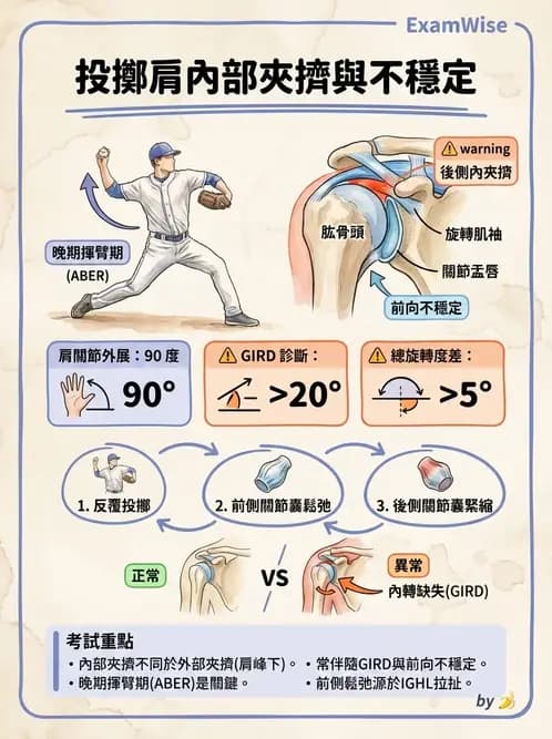 物治 - 肩關節不穩定與盂唇損傷 - AI 圖文解析預覽
