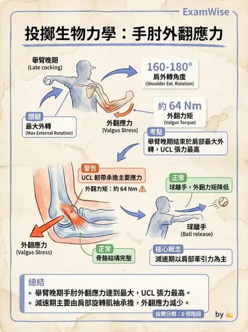 物治 - 肘及前臂關節 - AI 圖文解析預覽