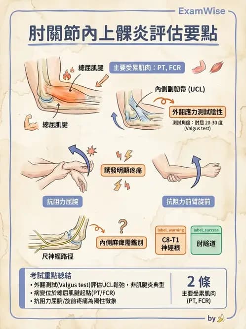 物治 - 肘及前臂關節 - AI 圖文解析預覽