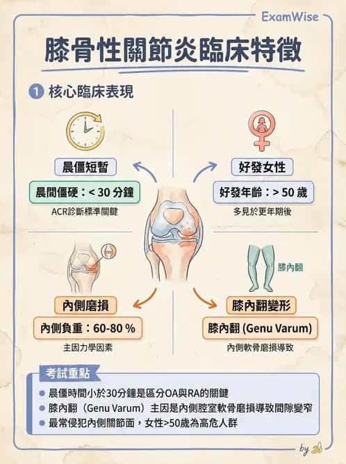 物治 - 膝關節生物力學與退化性疾病 - AI 圖文解析預覽