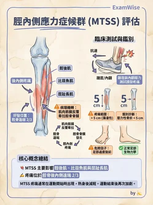 物治 - 踝關節損傷與復健 - AI 圖文解析預覽