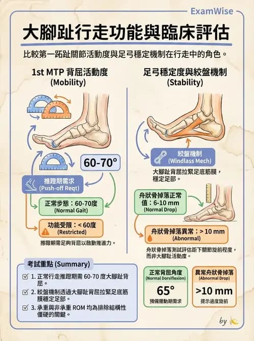物治 - 足部病變與輔具評估 - AI 圖文解析預覽