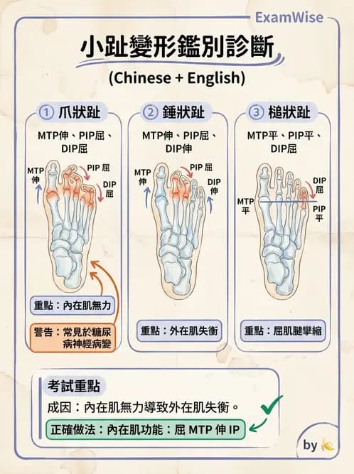 物治 - 足部病變與輔具評估 - AI 圖文解析預覽