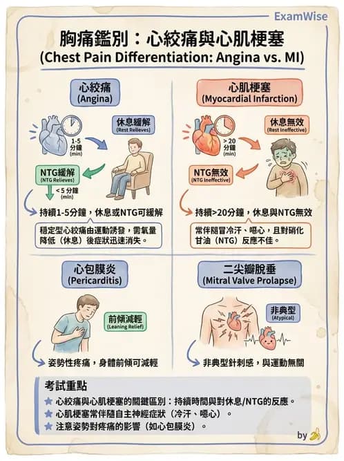 物治 - 初級照護與鑑別診斷 - AI 圖文解析預覽