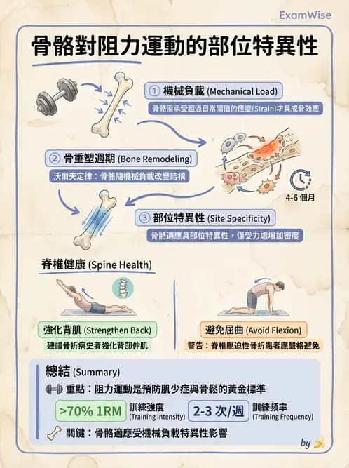物治 - 女性健康 - AI 圖文解析預覽