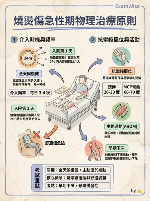 物治 - 皮膚與淋巴系統物理治療 - AI 圖文解析預覽
