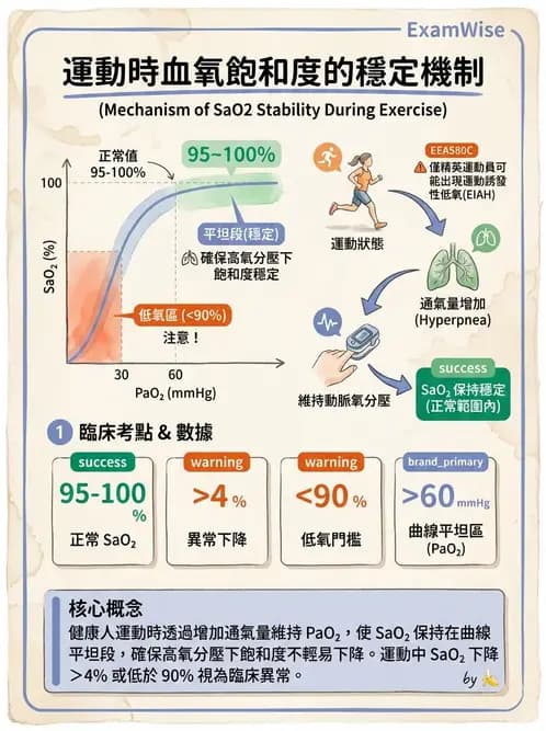 物治 - 肺功能測試與血氣體分析 - AI 圖文解析預覽