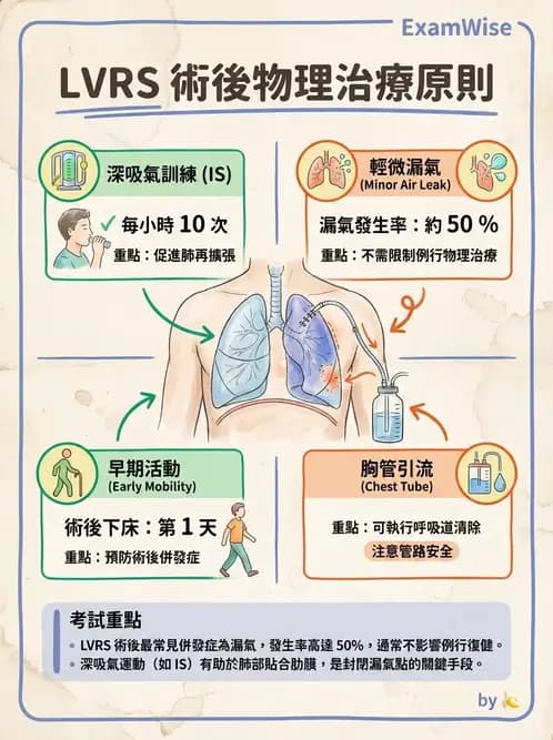 物治 - 胸腔手術、肺移植與呼吸器 - AI 圖文解析預覽