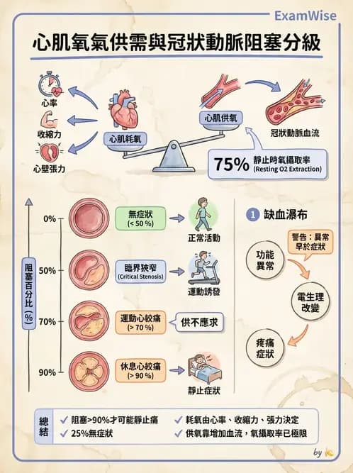 物治 - 循環解剖、生理與血流動力學 - AI 圖文解析預覽